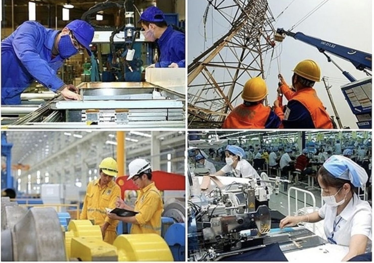 Các Tập đoàn, Tổng Công ty do Bộ Tài chính làm đại diện chủ sở hữu đạt kết quả kinh doanh tích cực trong 6 tháng đầu năm 2025. 