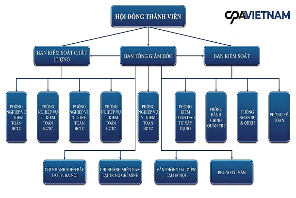 Cơ cấu tổ chức 