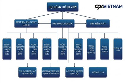 Cơ cấu tổ chức 