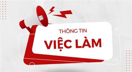 Tuyển dụng 8/2026: Lãnh Đạo Phòng Kiểm Toán/Kiểm Toán Viên Quốc Gia