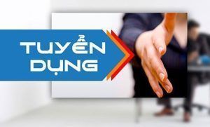 Tuyển dụng 10/2026: Cán bộ Phòng Đào tạo và Soát xét Chất lượng Kiểm Toán