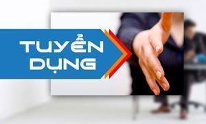 Tuyển dụng 9/2026: Cán bộ Phòng Đào tạo và Soát xét Chất lượng Kiểm Toán