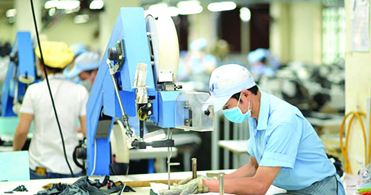 Bộ Tài chính đề xuất cơ chế đặc thù phát triển 1.000 doanh nghiệp tiên phong