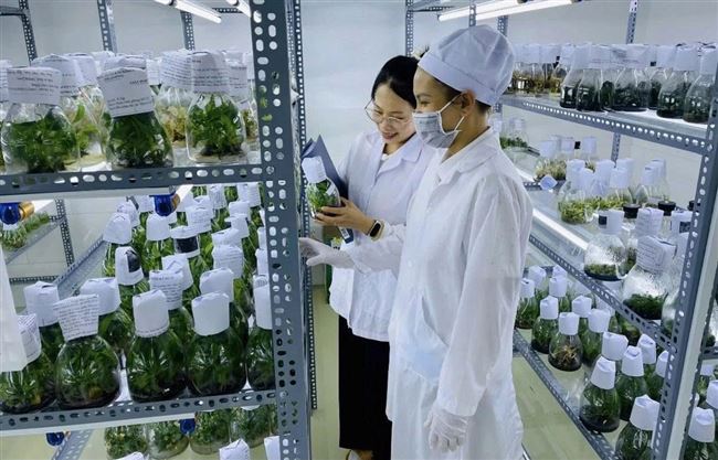Khu công nghệ cao tỉnh Lâm Đồng sẽ phát triển theo mô hình xanh