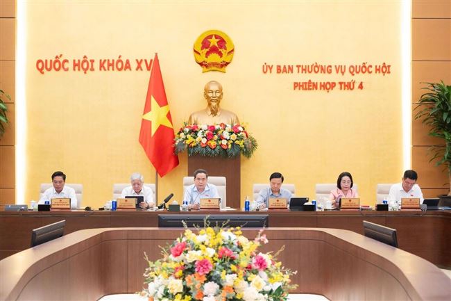 Sửa Luật Hải quan siết quản lý giao dịch xuất nhập khẩu trên nền tảng số