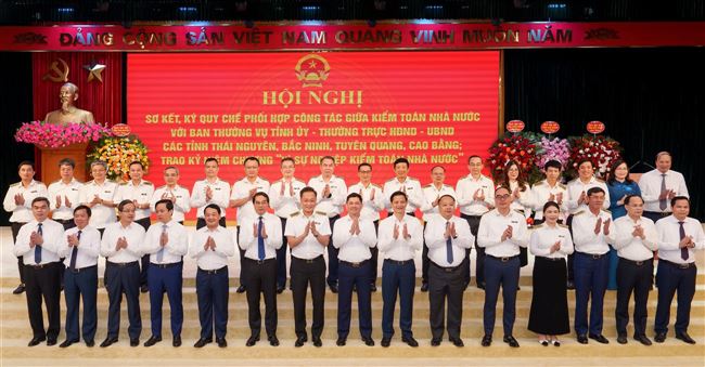 Kiểm toán không chỉ để phát hiện sai phạm