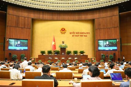 2025 State Budget Final Accounts: Persistent Shortcomings in Fiscal Discipline