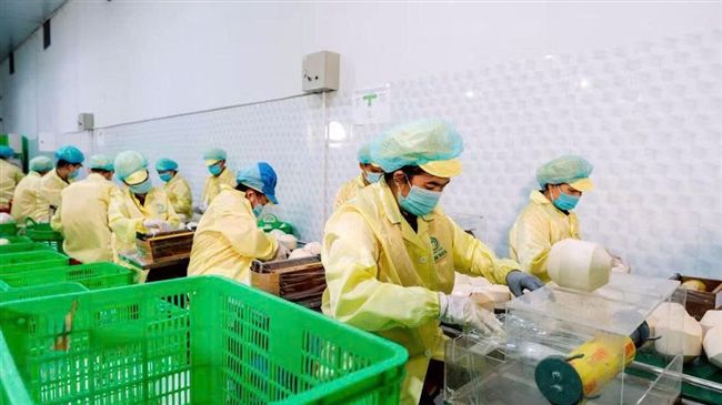 Vegetexco Vietnam Chủ Động Nguồn Cung, Tăng Tốc Xuất Khẩu Rau Quả