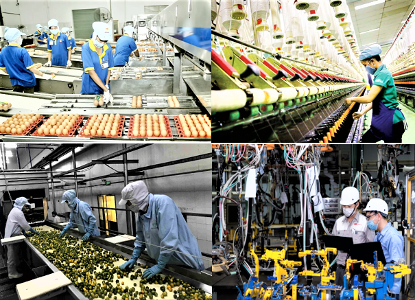 Quy mô doanh nghiệp mở rộng, tiếp tục là động lực tăng trưởng của nền kinh tế