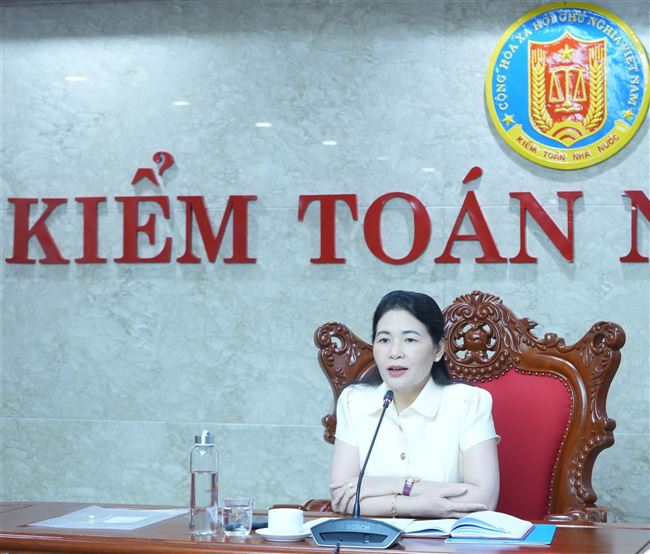 Thúc đẩy tiến độ nghiên cứu, đề xuất sửa đổi Luật Kiểm toán nhà nước