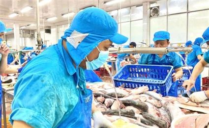 VASEP proposes tax relief to support Vietnamese seafood exporters