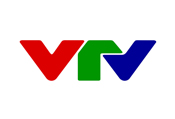 Đài Truyền hình Việt Nam